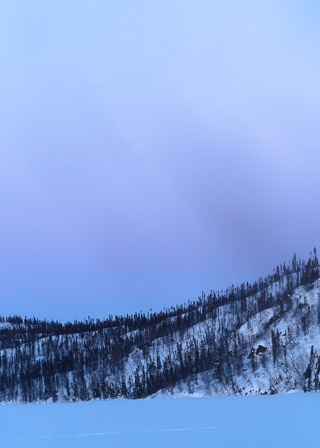 A Soft Evening Cold
