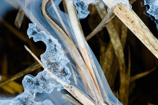 Reflective Coating