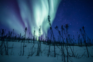 Lights of a Northern Winter