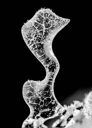 Crystalines Form