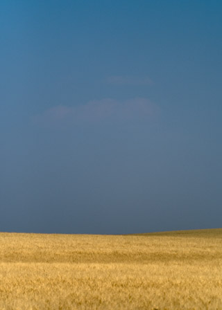 Bright Feild and Smokey Sky