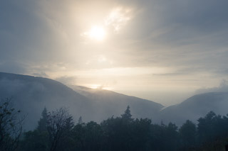 Ocean Fog Blanketing the Highlands II
