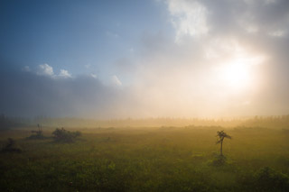 Glowing Mist on the Plateau