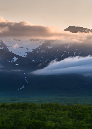Shaded Forests to Sunlit Mountains