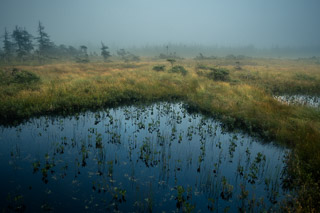 Foggy Highliand Pools