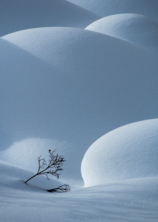 Winter Nursery