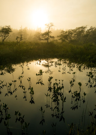 Warm Reflections on the Plateau