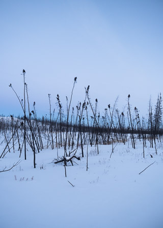 Through the Burnt Arctic