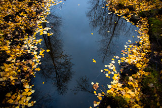 Beaver Run