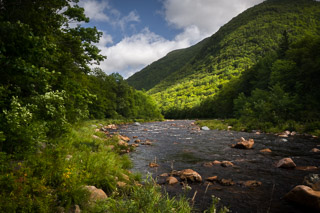 Green Banks of the Cheticamp