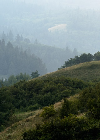 Smoky Forested Hills