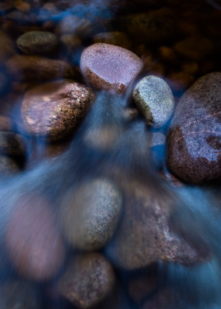 Trio in the Stream