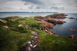 White Point