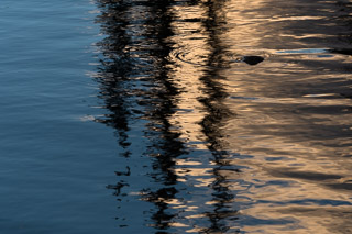 Reflected Sentinels
