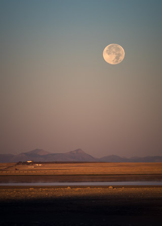 Harvest Moon