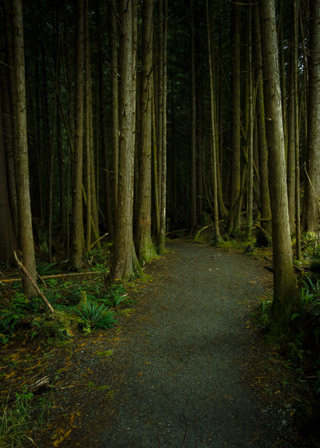 Dark Path