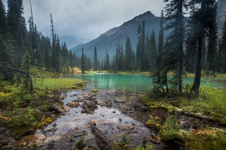 Rainy Day by an Alpine Pond