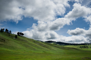Rolling Hills and Cotton Clouds