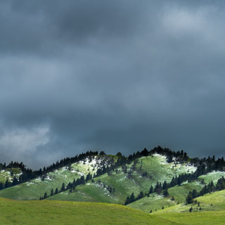 Snowy Whaleback Repetition