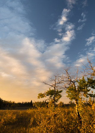 Grasping at the Glowing Sky
