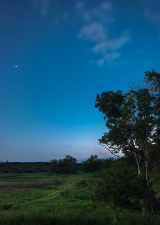 Fireflies and Starlight