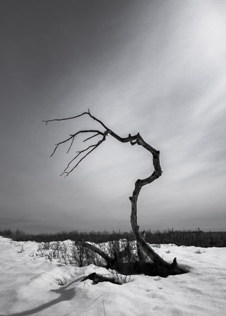 Life is Out of Reach