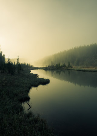 Golden Fog Along the River I