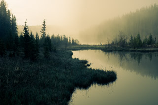 Golden Fog Along the River II