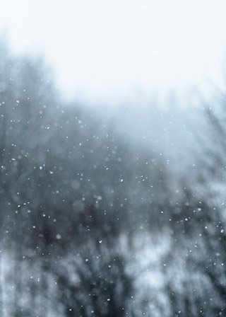Snow Day