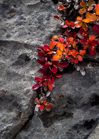 Into Nooks and Crannies