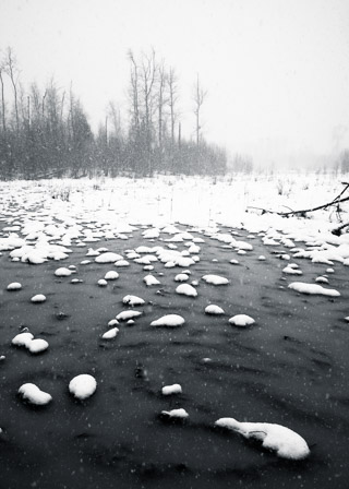 Melting Snowstorm