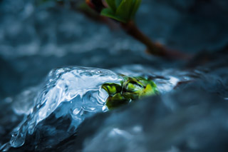 Encased in Water