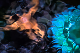 Distorted Sea Life