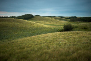 Rolling Hillscape