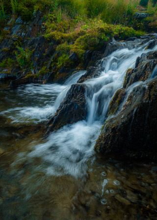 Cascading Through Moss I