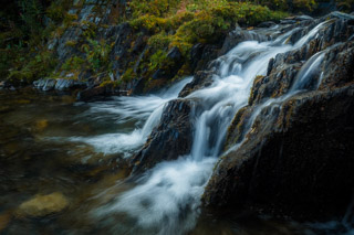Cascading Through Moss II