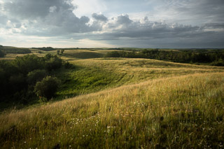 Summer Prairie Hills