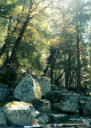 Sitting Stones