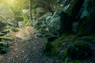 Rocky Alcove on the Trail