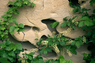 Growth and Erosion
