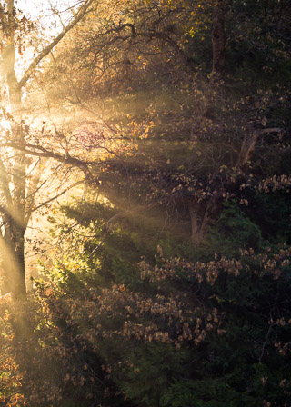 Scattering Winter Warmth
