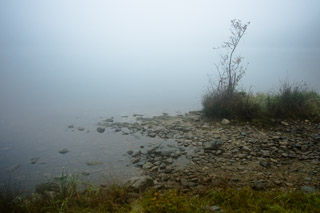 Quietest Shore