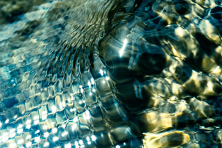 Amphibious Ripples