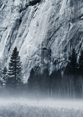 Mist Below the Wall