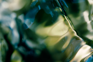 Summer Ripple