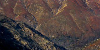 Sunburnt Hillside