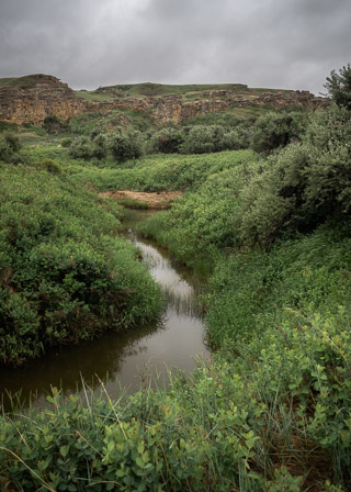 Threading Growth through Dry Prairies