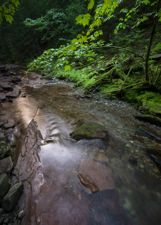 Small Stream Reflects the Sky