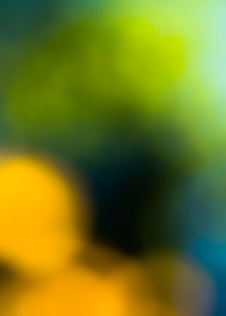 Bright Autumn Dreams I