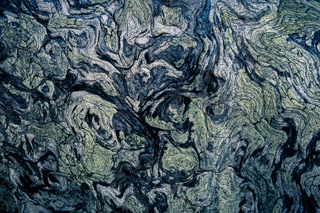 Topographic Trunk
